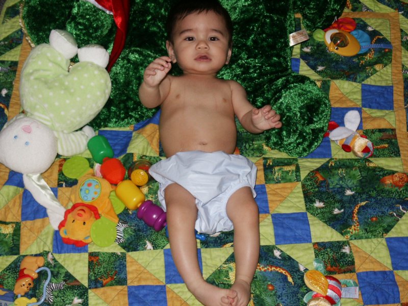 Photograph