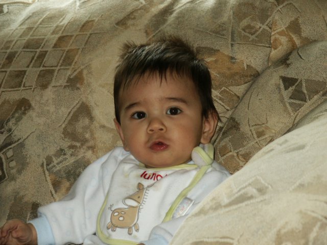 Photograph