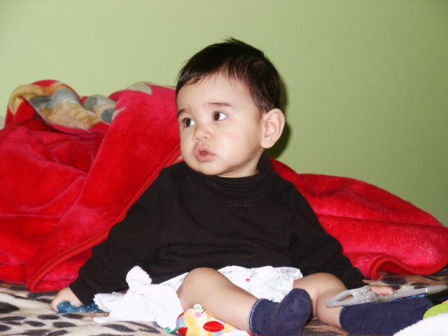 Photograph