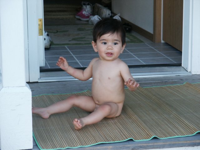 Photograph