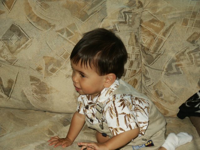 Photograph