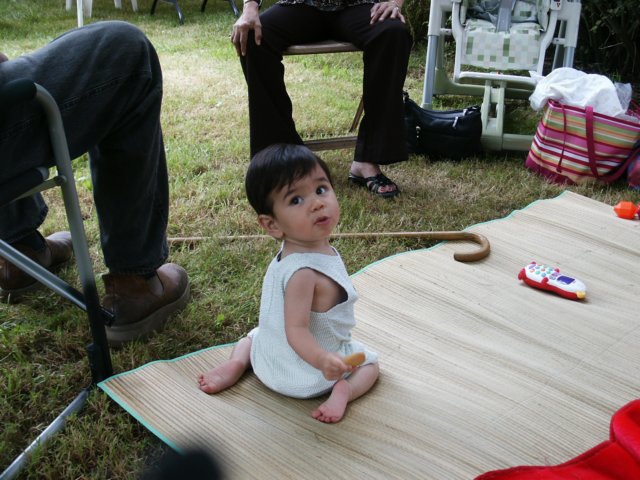 Photograph
