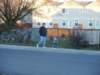 Photo Number 13