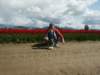 Photo Number 13