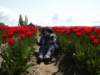 Photo Number 78