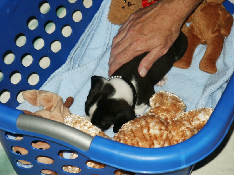 Photograph