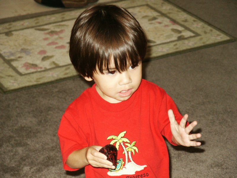 Photograph