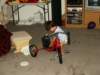 Photo Number 11
