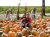 Photo Number 89