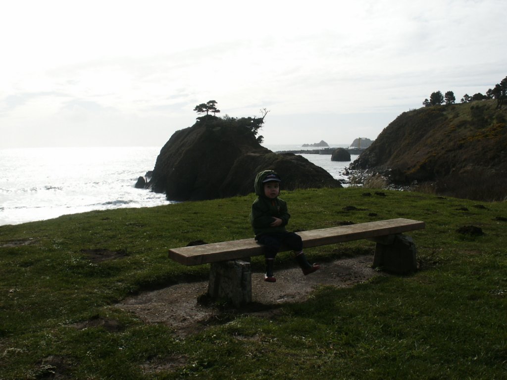 Photograph
