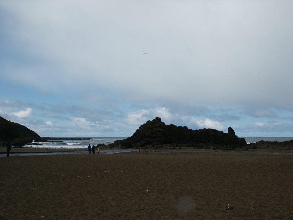 Photograph