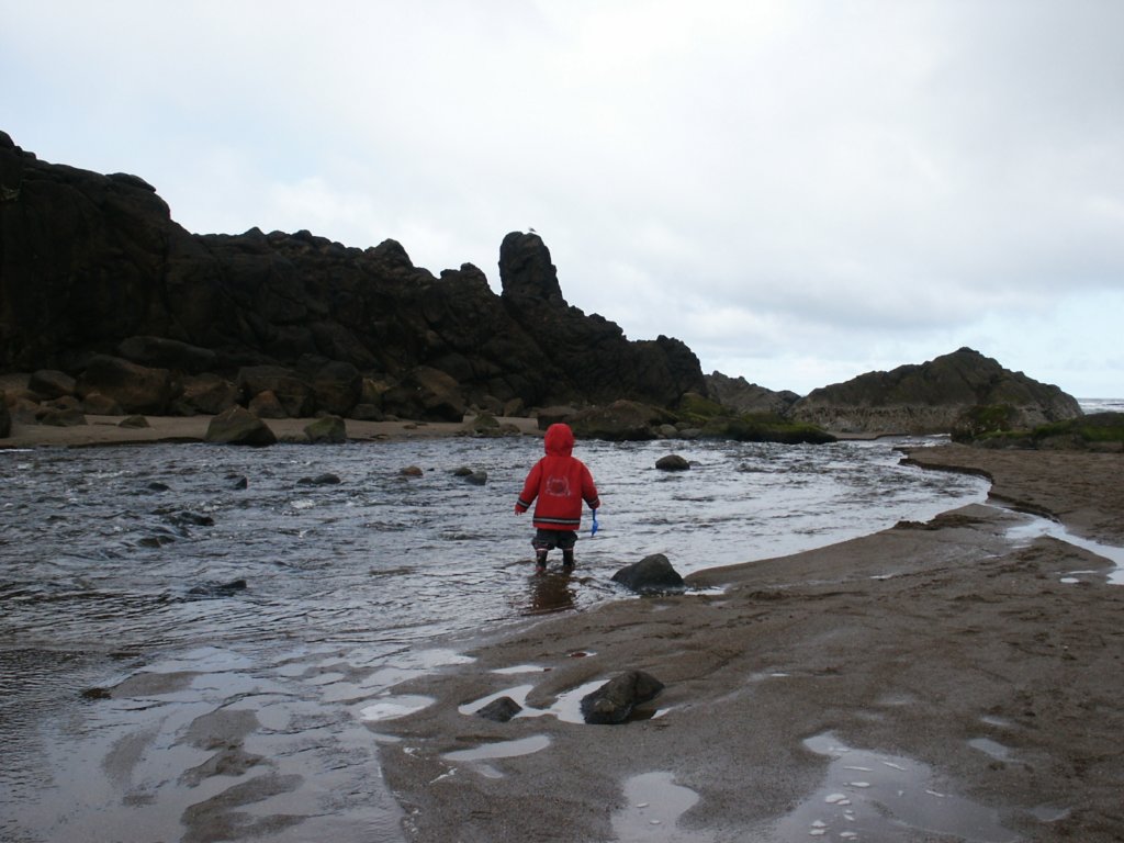 Photograph