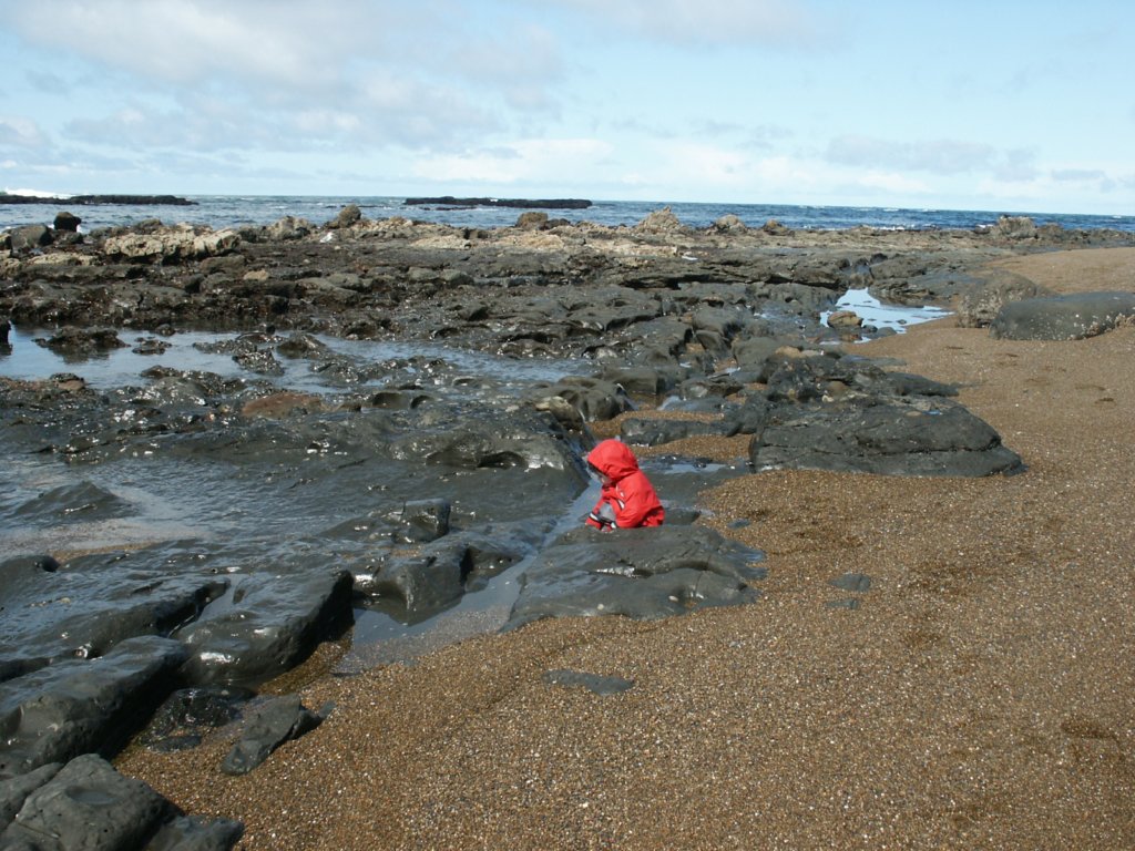 Photograph