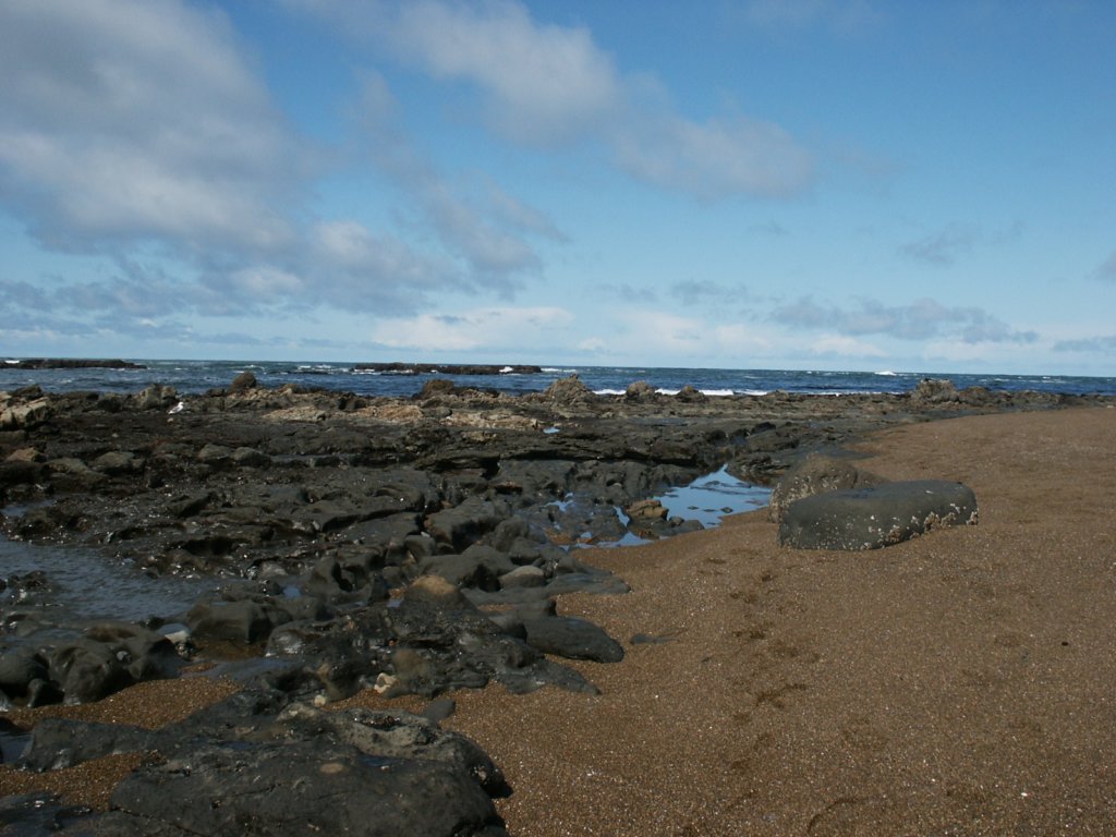 Photograph