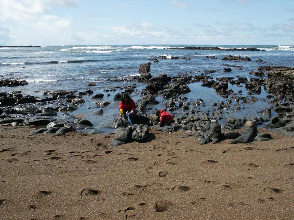 Photograph