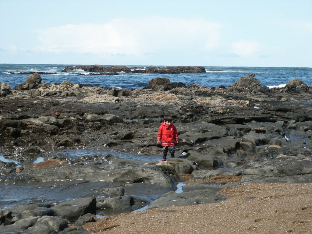 Photograph