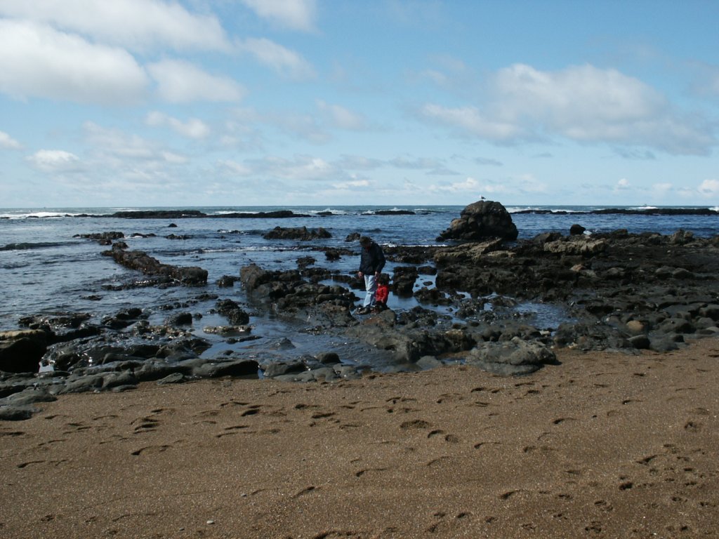 Photograph