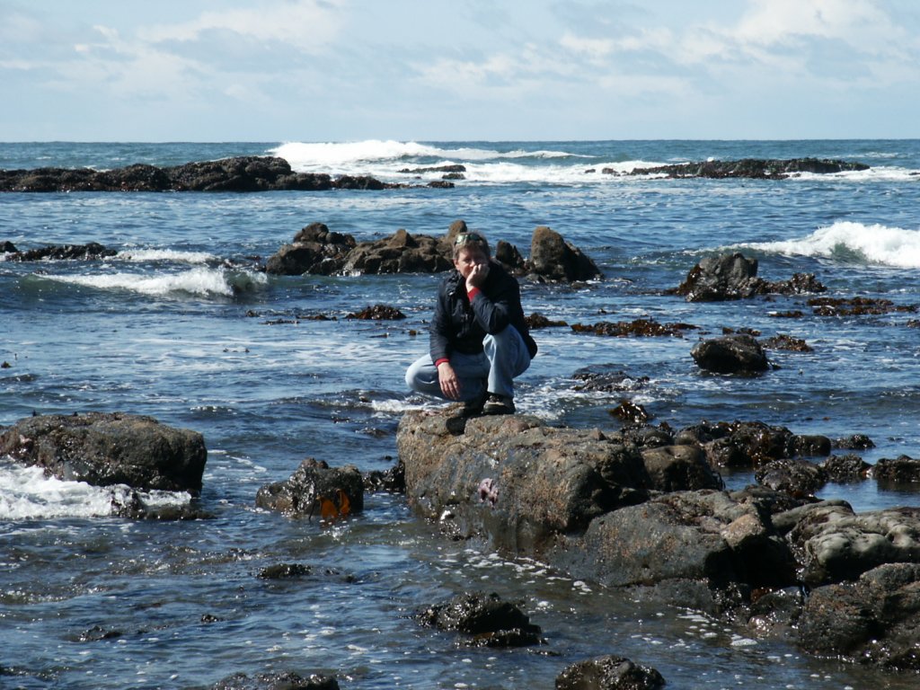 Photograph