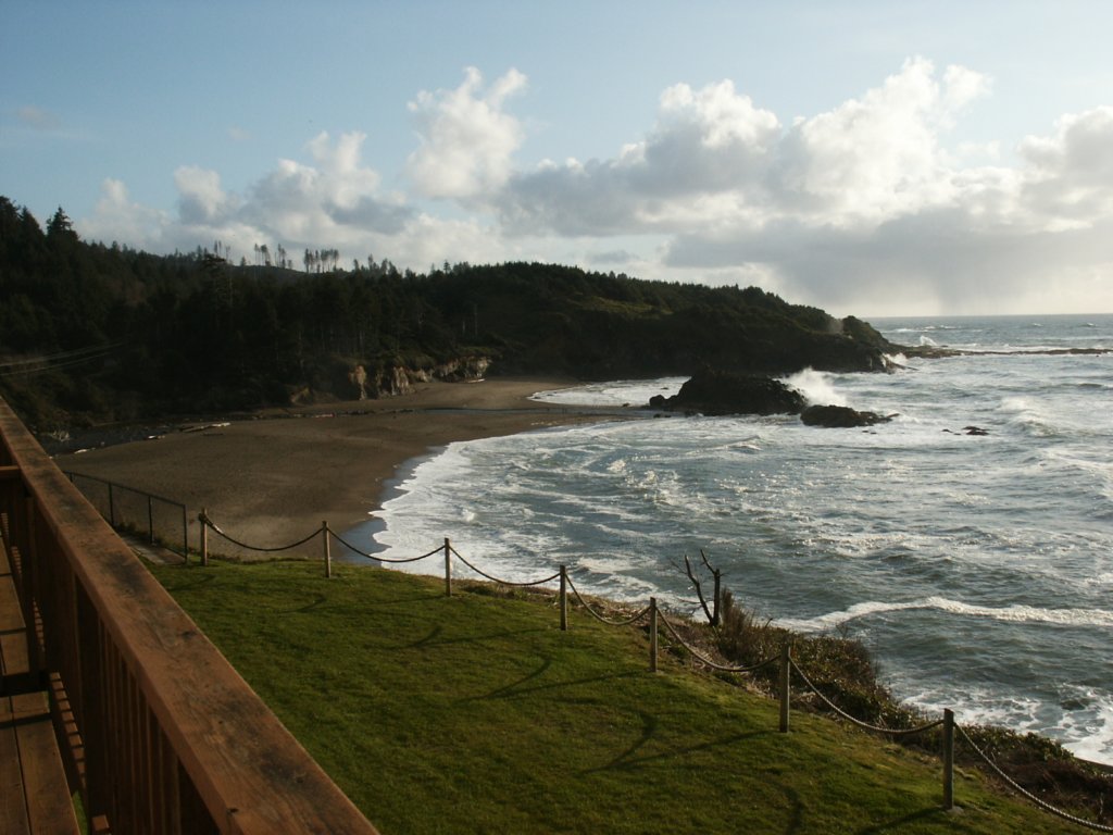 Photograph