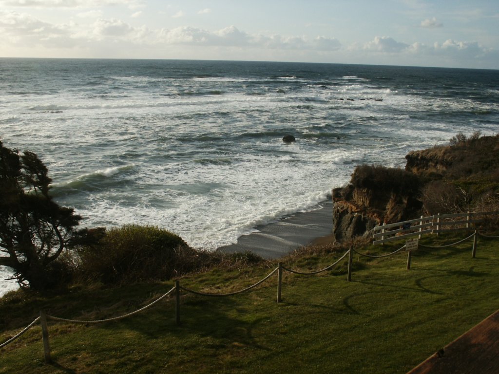Photograph