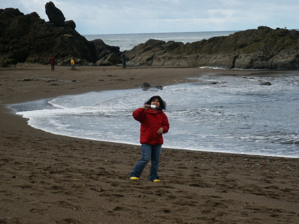 Photograph