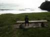 Photo Number 8
