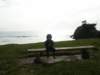 Photo Number 9