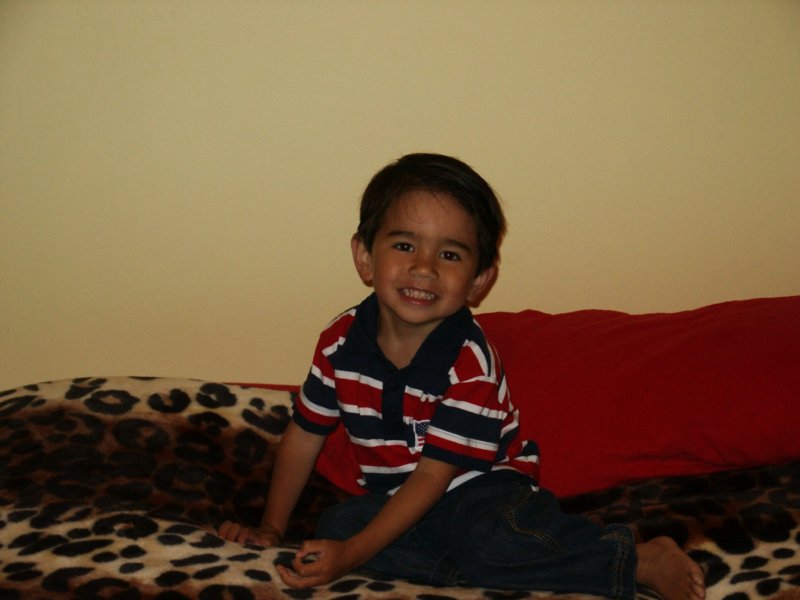 Photograph